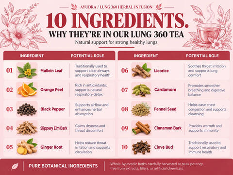 Lungs 360